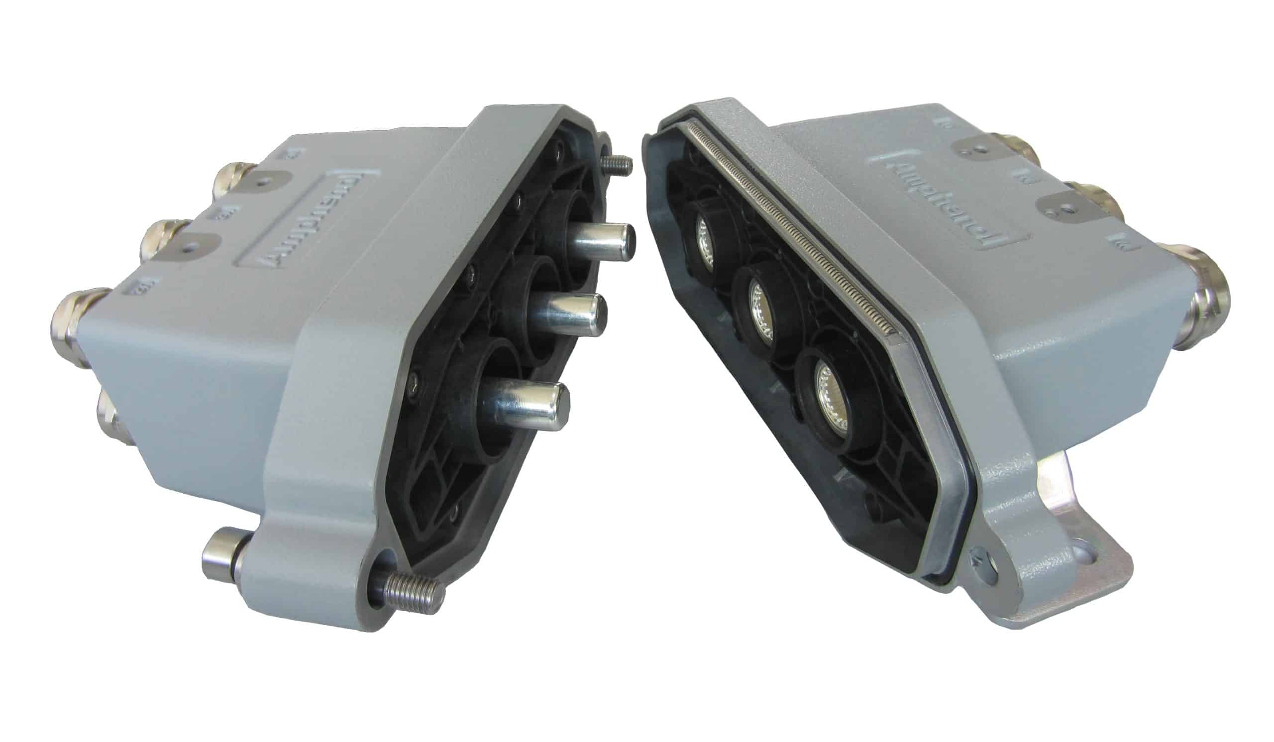 Featured image for “EMP”